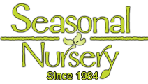 Seasonal Nursery