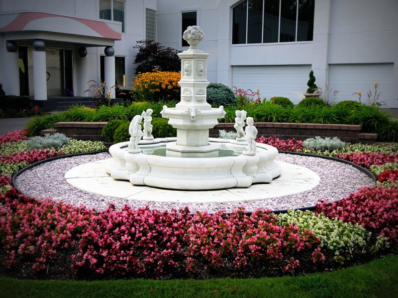 Annuals Seasonal Nursery